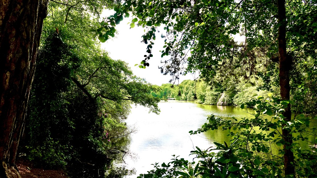 Hartsholme Lake by carole_sandford