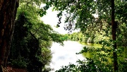 10th Jun 2025 - Hartsholme Lake
