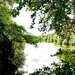 Hartsholme Lake