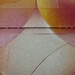 The beauty of simple things (tissue box)