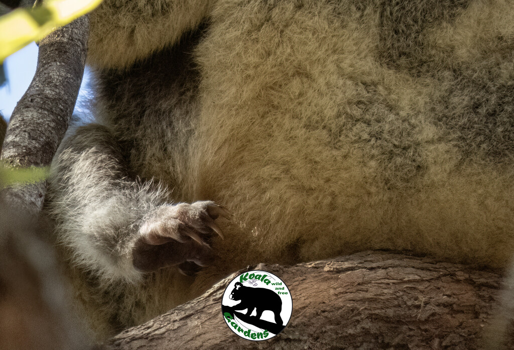 it's feet week apparently by koalagardens