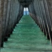 Under the Venice Florida Fish Pier