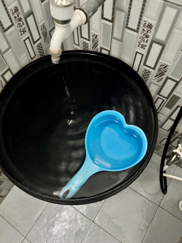 Manual heart flushing system.  by cocobella