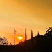 Golden Sky