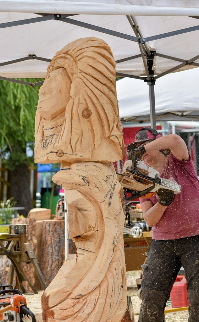 Our Chainsaw Carver Friend  by bjywamer
