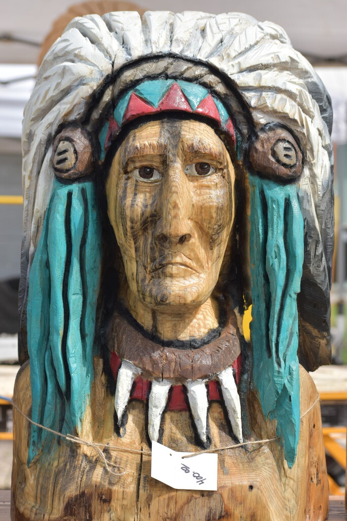 Native American Chieftan  by bjywamer