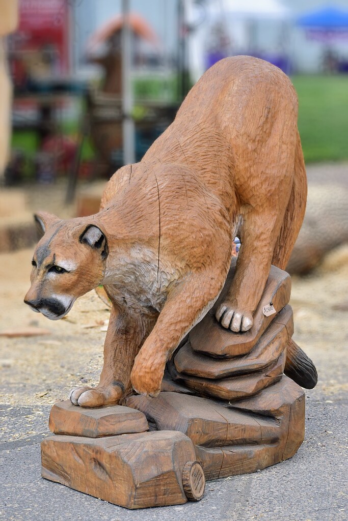 Mountain Lion by bjywamer