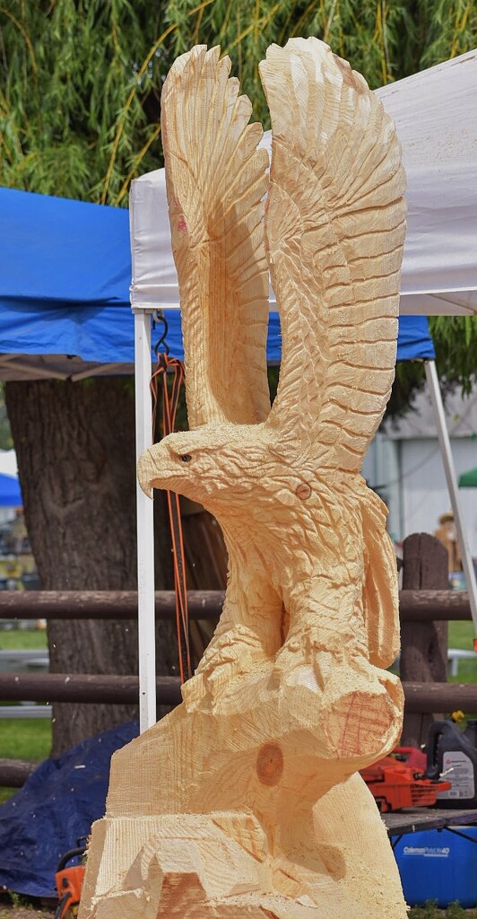 Chainsaw Carved Eagle by bjywamer