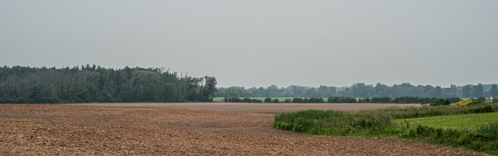 Ready for seed by darchibald