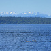 Puget Sound