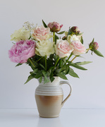 11th Jun 2025 - Jugged Bunch