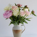 Jugged Bunch