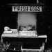 Fresh eggs 