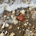 Incoming Tide