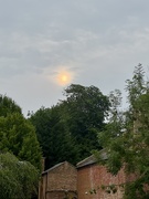 9th Jun 2025 - The spotlight 