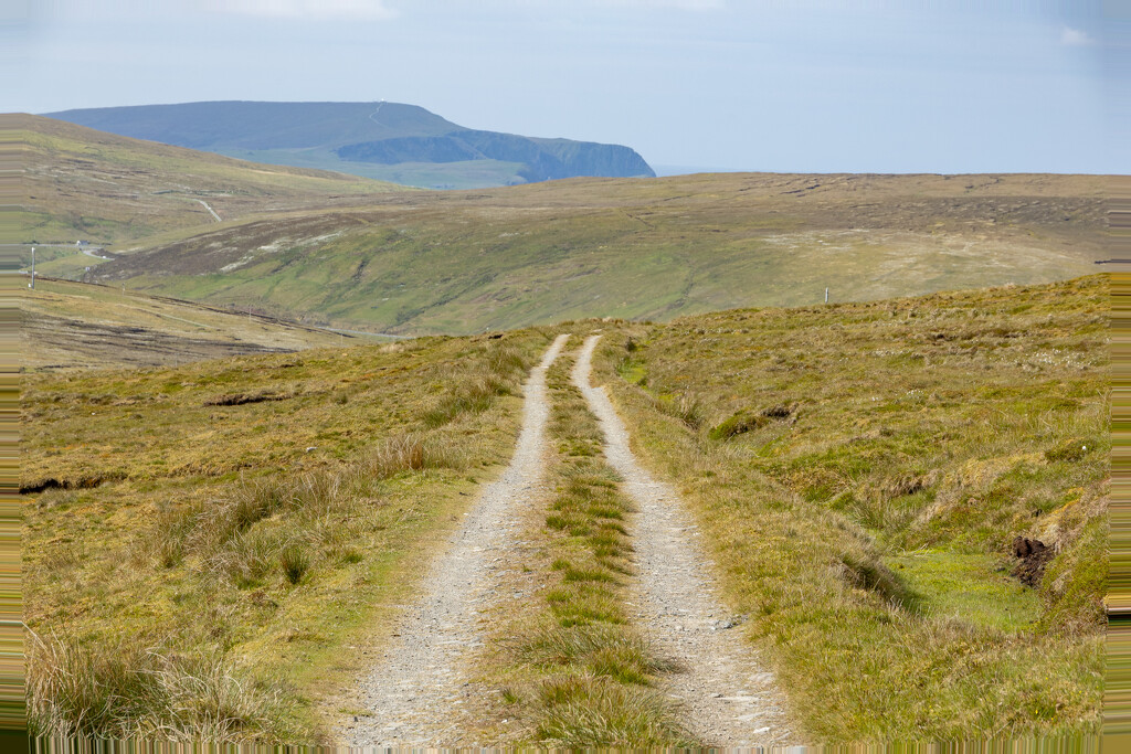 Peat Hill Track by lifeat60degrees
