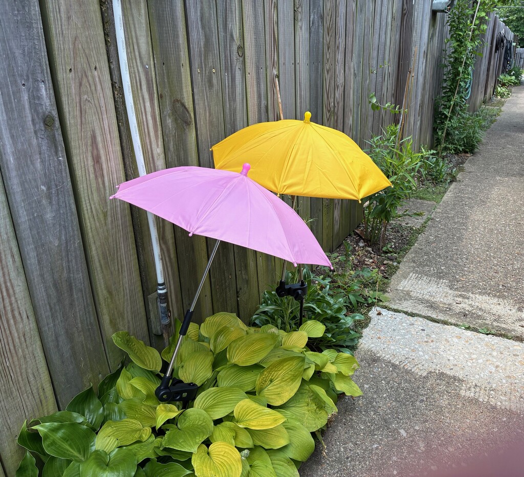 Sunbrella by allie912
