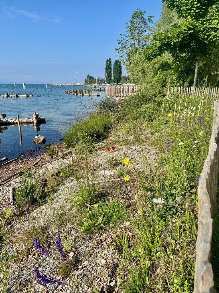Lakeside.  by cocobella