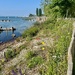 Lakeside. 