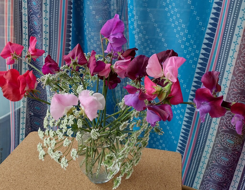 Sweet Peas and Ami from my garden by aimeebarr