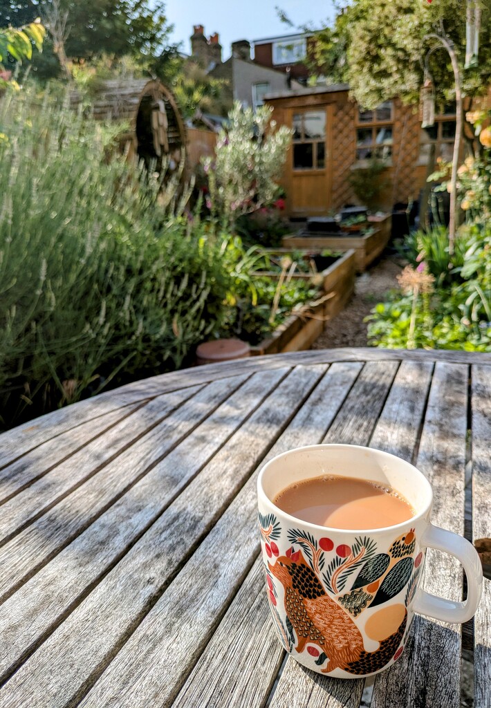 Garden breakfast  by boxplayer