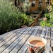 Garden breakfast 