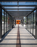 12th Jun 2025 - Leading line
