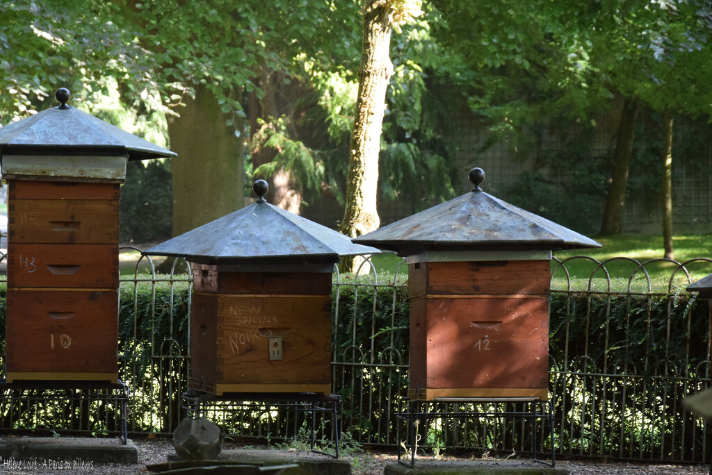 beehives by parisouailleurs