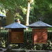 beehives