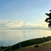 Grandvaux vineyards. 