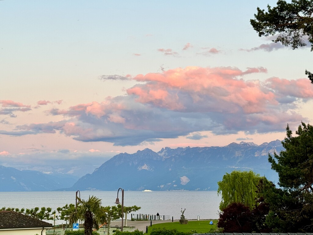 Pink cloud by cocobella