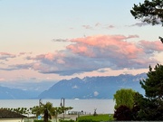 12th Jun 2025 - Pink cloud