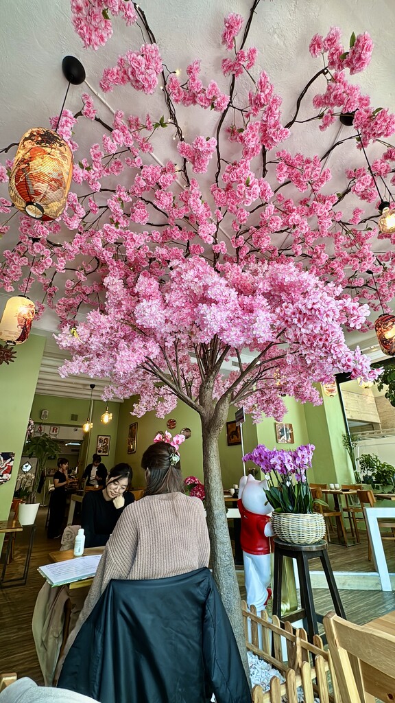 Cherrytree.  by cocobella