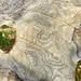 Layers of texture