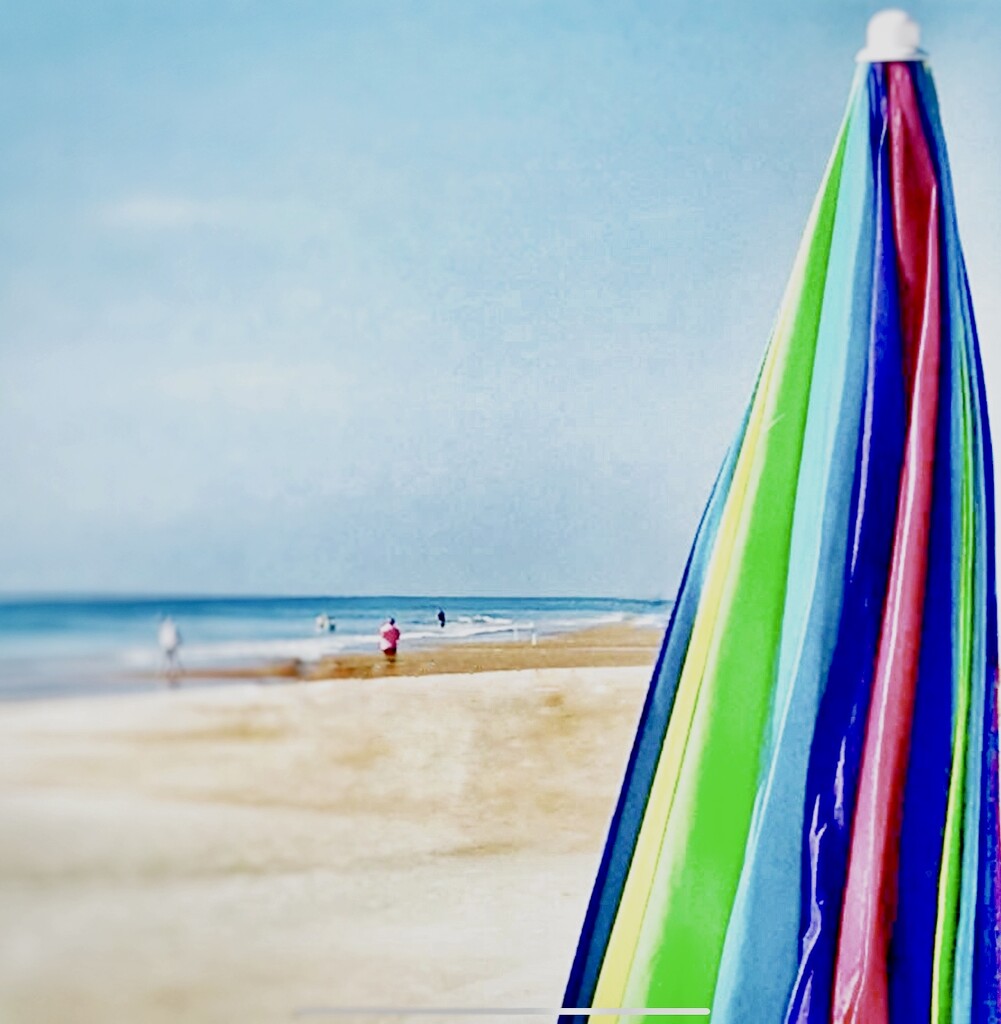 BEACHBRELLA  by joemuli