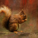 The Autumn Forager