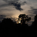 Sunset this afternoon