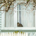 The Watcher