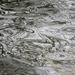 Ripples 12