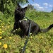 Summer boy
