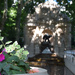 Medecis fountain
