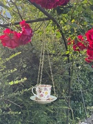 13th Jun 2025 - I bird feeder 
