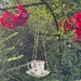 I bird feeder 