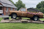 13th Jun 2025 - How about this for a lawn ornament?