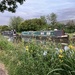 Canal at Stratford Upon Avon. 
