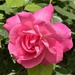 Sing a song of seasons…