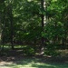 Shady space...