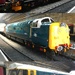Paint it Blue (and Yellow)