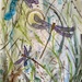 Dragonflies