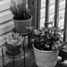 Another corner...